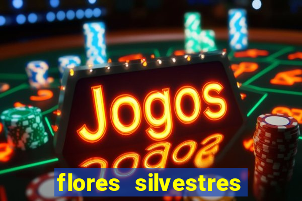 flores silvestres desbravadores desbravadores 25